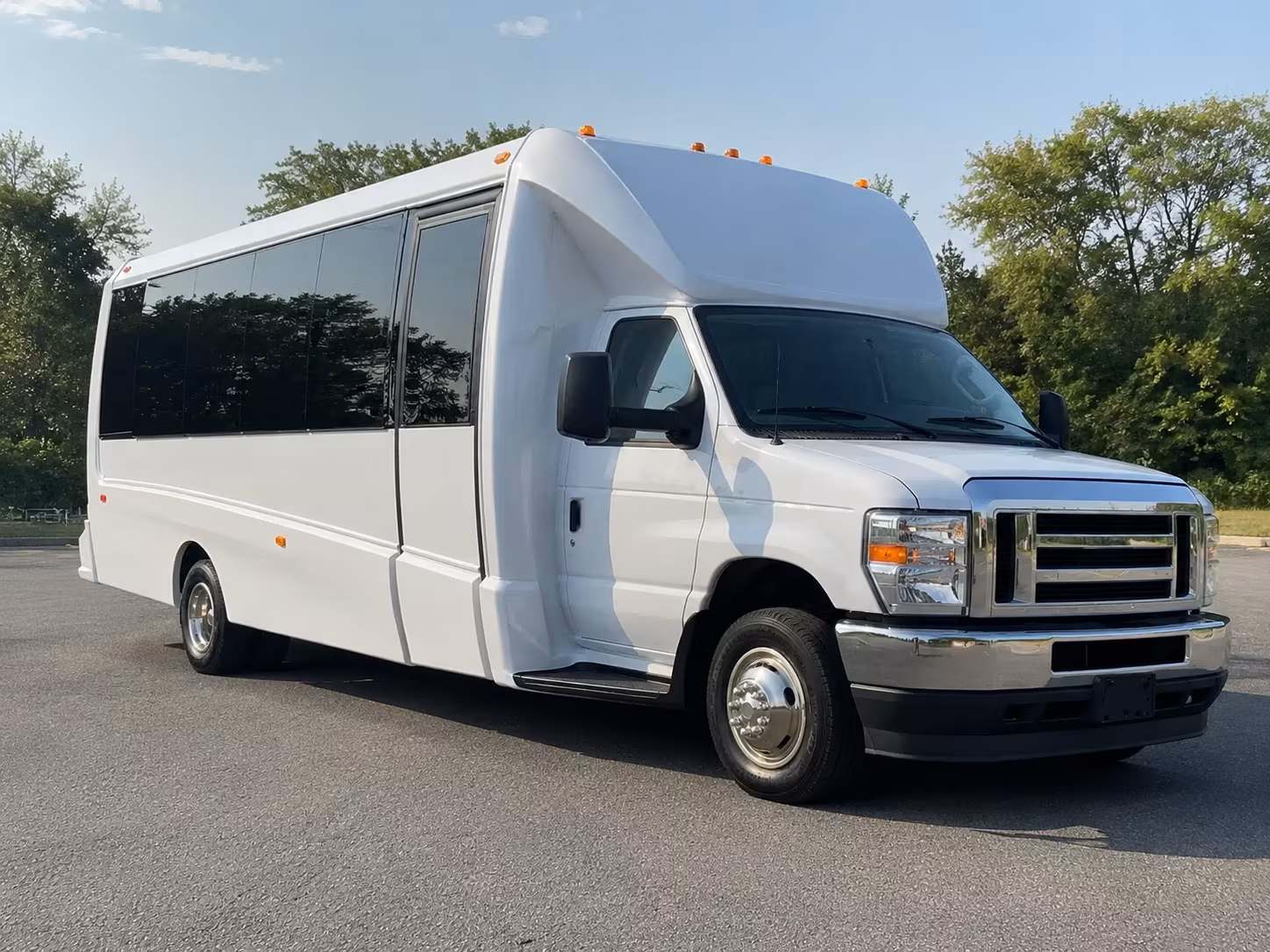 mckinney birthday party bus rental